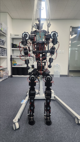 Humanoid image 2